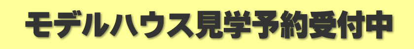ani-top-1